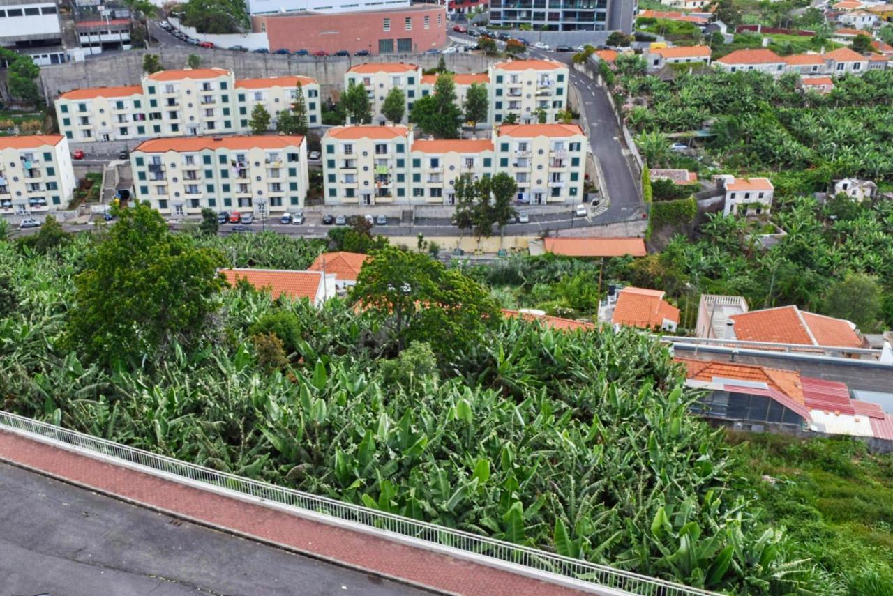 Design Gardens, A Home In Madeira Фуншал Екстер'єр фото